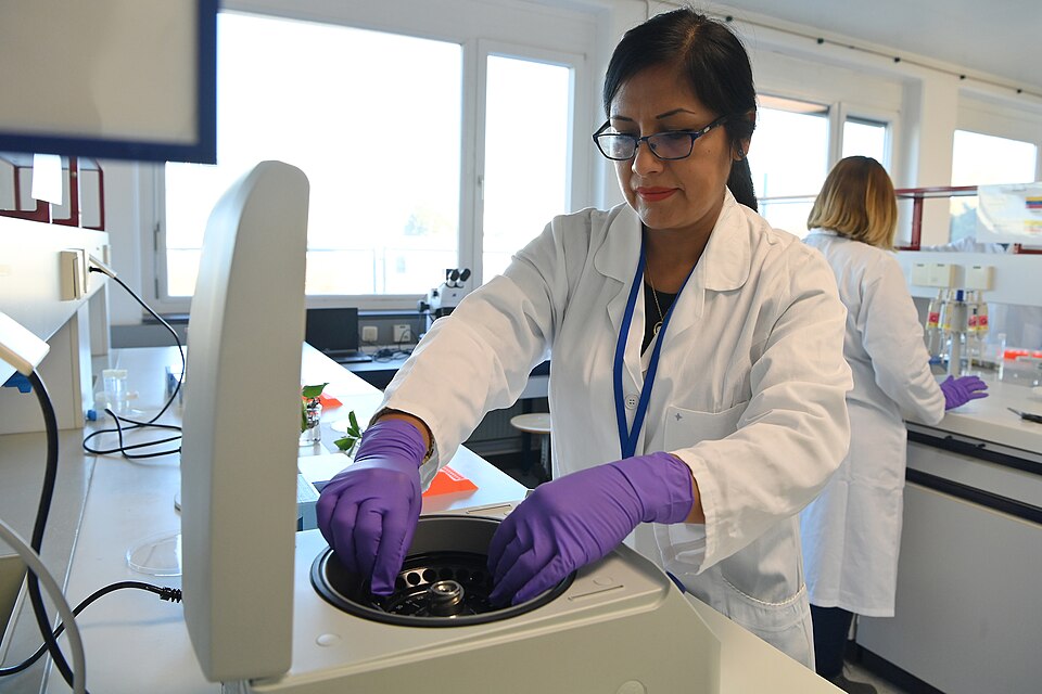 Plant Breeding & Genetics Laboratory Seibersdorf (51902961538).jpg